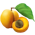 Damasco