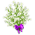 Buquê de Flor Mosquitinho
