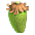 Fruto de Baobá