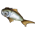 Salmão