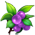 Beautyberry