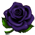 Black Rose