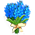 Buquê de Centáurea-Azul