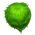 Alga Verde