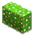 Bloco Botânico