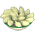 Pierogi de Repolho