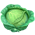 Cabbage