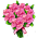 Buquê de Cravos