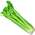 Salsão