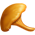 Cogumelo Chanterelle