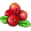 Mirtilo Vermelho