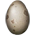 Ovo de Crocodilo