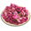 Rosa do Amor Desidratada 