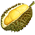 Durio