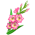 Gladíolo