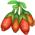 Goji