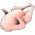Carne de Ganso 