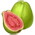 Goiaba