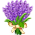 Buquê de Lavanda
