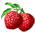 Lichia