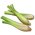 Citronela