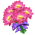 Buquê de Flores de Lótus