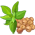 Mostarda