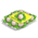 Couve-Flor Embalada