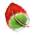 Pena de Papagaio
