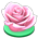 Luz de Rosa Rosa Flutuante