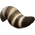 Pelo de Guaxinim