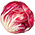 Chicória Vermelha