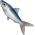Sardinha
