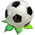 Flor Bola