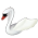 Boia de Cisne