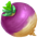 Turnip