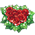 Rosa do Amor