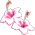 Hibisco Branco