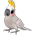 Cacatua-Branca de Pelúcia