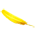 Pena de Canarinho