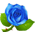 Rosa Azul