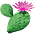 Cacto