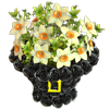 Arranjo Floral Peregrino