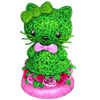 Gatinha de Grama