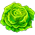 Alface