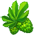 Lúpulo Lúpulo
