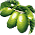 Azeitona
