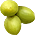 Fruto da Palmeira