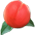 Pêssego