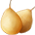 Pera